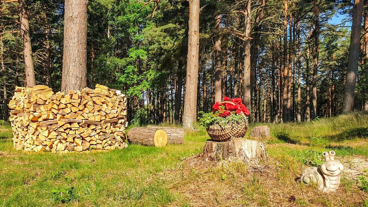 Guest House Saulgriezes Ница Экстерьер фото