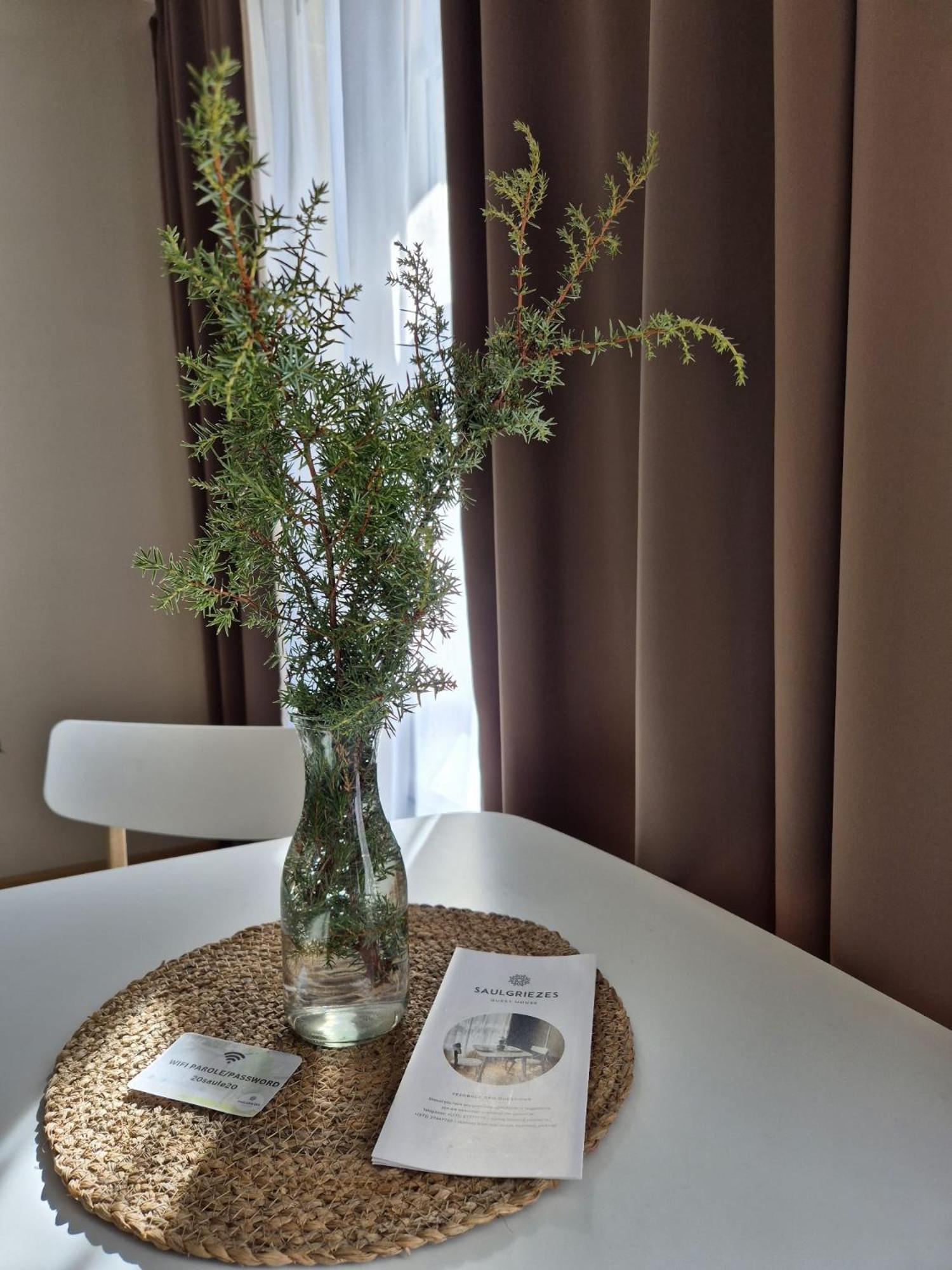 Guest House Saulgriezes Ница Экстерьер фото